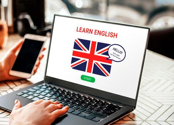 incluye material digital